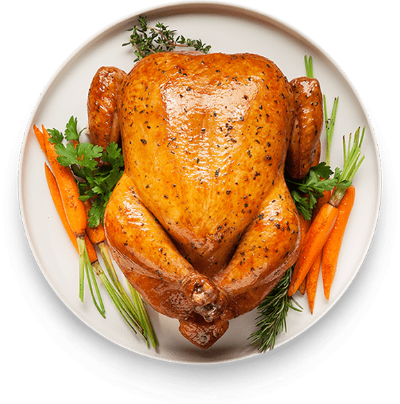 plate1