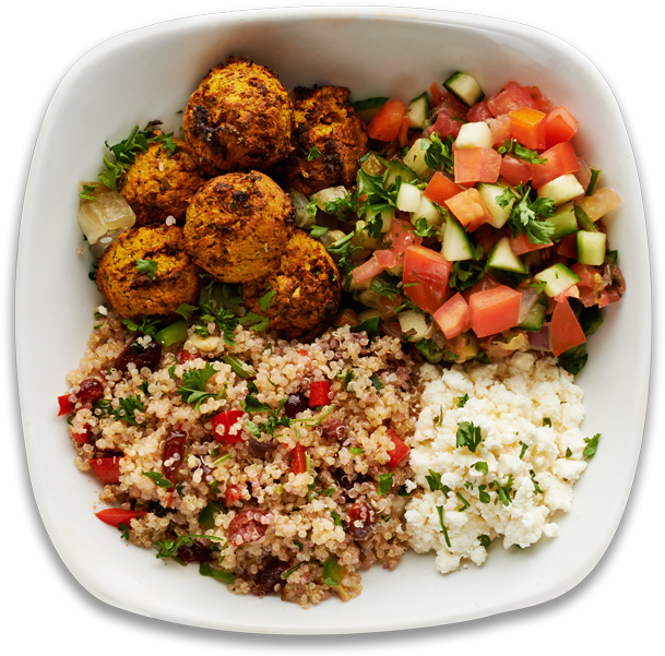 plate1